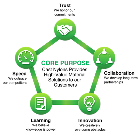 Cast Nlylons Core Values graphic